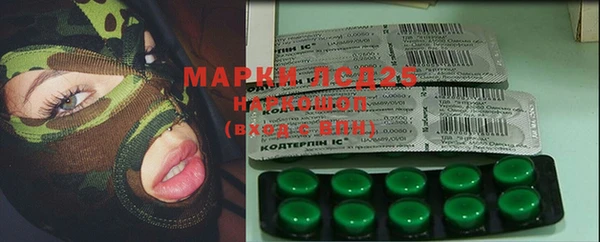 сатива Арсеньев