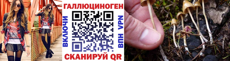 где продают Поронайск kraken зеркало Псилоцибиновые грибы мухоморы